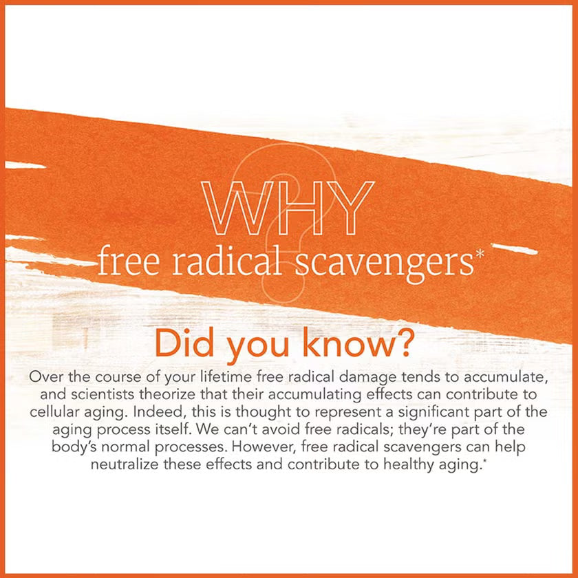 Now C-1000 Vitamin C Tablets For Antioxidant & Immune Support, Pack of 100's