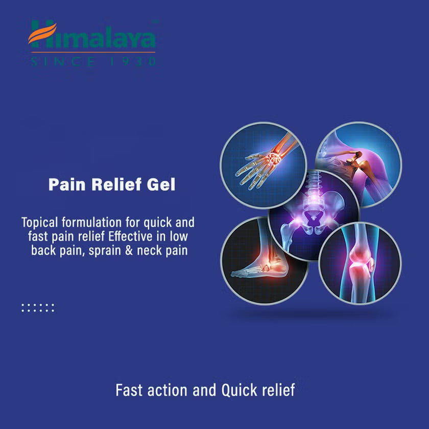 Himalaya Rumalaya Gel 30g